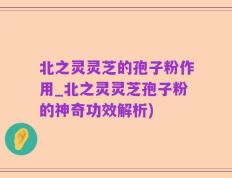 北之灵灵芝的孢子粉作用_北之灵灵芝孢子粉的神奇功效解析)