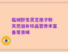 临城野生灵芝孢子粉 天然滋补珍品营养丰富备受青睐
