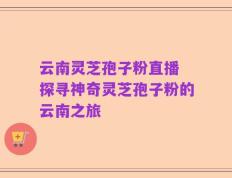 云南灵芝孢子粉直播 探寻神奇灵芝孢子粉的云南之旅