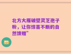 北方大雁破壁灵芝孢子粉，让你惊喜不断的自然馈赠”