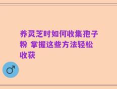 养灵芝时如何收集孢子粉 掌握这些方法轻松收获