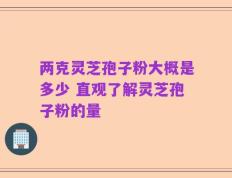 两克灵芝孢子粉大概是多少 直观了解灵芝孢子粉的量