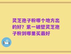 灵芝孢子粉哪个地方出的好？紫一破壁灵芝孢子粉到哪里买最好