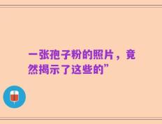 一张孢子粉的照片，竟然揭示了这些的”