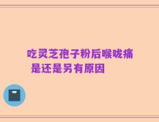 吃灵芝孢子粉后喉咙痛 是还是另有原因