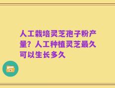 人工栽培灵芝孢子粉产量？人工种植灵芝最久可以生长多久