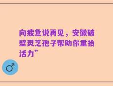 向疲惫说再见，安徽破壁灵芝孢子帮助你重拾活力”