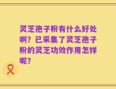 灵芝孢子粉有什么好处啊？已采集了灵芝孢子粉的灵芝功效作用怎样呢？