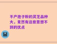 不产孢子粉的灵芝品种大，竟然有这些意想不到的优点