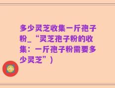 多少灵芝收集一斤孢子粉_“灵芝孢子粉的收集：一斤孢子粉需要多少灵芝”)