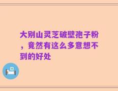 大别山灵芝破壁孢子粉，竟然有这么多意想不到的好处