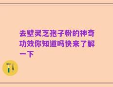 去壁灵芝孢子粉的神奇功效你知道吗快来了解一下