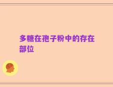 多糖在孢子粉中的存在部位