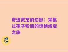 奇迹灵芝的幻影：采集过孢子粉后的惊艳蜕变之旅