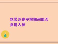 吃灵芝孢子粉期间能否食用人参