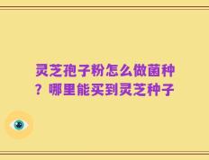 灵芝孢子粉怎么做菌种？哪里能买到灵芝种子