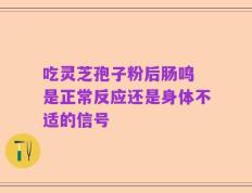 吃灵芝孢子粉后肠鸣 是正常反应还是身体不适的信号