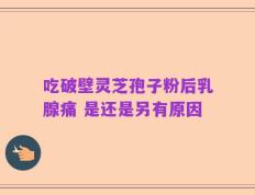 吃破壁灵芝孢子粉后乳腺痛 是还是另有原因