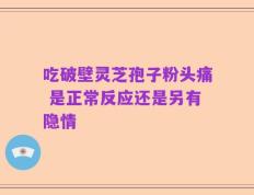 吃破壁灵芝孢子粉头痛 是正常反应还是另有隐情