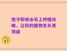 孢子粉吸水石上种植攻略，让你的植物生长更茂盛
