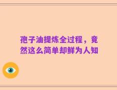 孢子油提炼全过程，竟然这么简单却鲜为人知