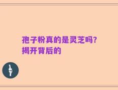 孢子粉真的是灵芝吗？揭开背后的