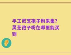 手工灵芝孢子粉采集？灵芝孢子粉在哪里能买到