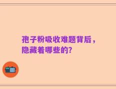 孢子粉吸收难题背后，隐藏着哪些的？