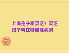 上海孢子粉灵芝？灵芝孢子粉在哪里能买到