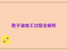 孢子油加工过程全解析