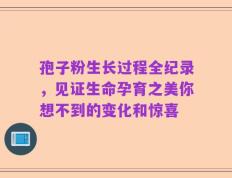 孢子粉生长过程全纪录，见证生命孕育之美你想不到的变化和惊喜