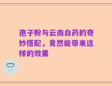 孢子粉与云南白药的奇妙搭配，竟然能带来这样的效果
