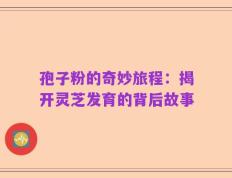 孢子粉的奇妙旅程：揭开灵芝发育的背后故事