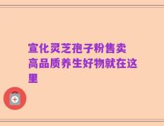 宣化灵芝孢子粉售卖 高品质养生好物就在这里
