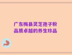 广东梅县灵芝孢子粉 品质卓越的养生珍品