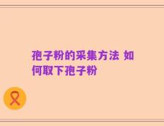 孢子粉的采集方法 如何取下孢子粉