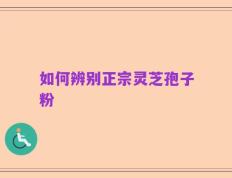 如何辨别正宗灵芝孢子粉