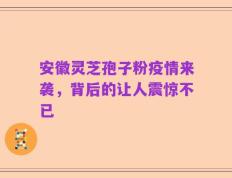 安徽灵芝孢子粉疫情来袭，背后的让人震惊不已