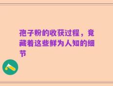 孢子粉的收获过程，竟藏着这些鲜为人知的细节