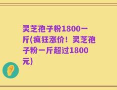 灵芝孢子粉1800一斤(疯狂涨价！灵芝孢子粉一斤超过1800元)