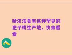 哈尔滨竟有这种罕见的孢子粉生产地，快来看看
