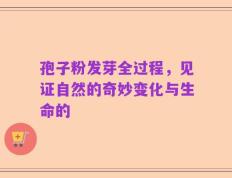 孢子粉发芽全过程，见证自然的奇妙变化与生命的