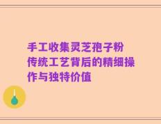 手工收集灵芝孢子粉 传统工艺背后的精细操作与独特价值