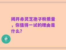 揭开赤灵芝孢子粉质量，你值得一试的理由是什么？