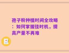 孢子粉种植时间全攻略：如何掌握佳时机，提高产量不再难
