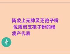 杨凌上元牌灵芝孢子粉 优质灵芝孢子粉的杨凌产代表