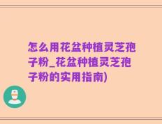 怎么用花盆种植灵芝孢子粉_花盆种植灵芝孢子粉的实用指南)