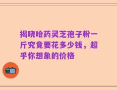 揭晓哈药灵芝孢子粉一斤究竟要花多少钱，超乎你想象的价格