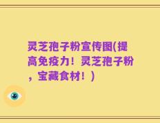 灵芝孢子粉宣传图(提高免疫力！灵芝孢子粉，宝藏食材！)