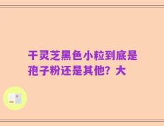 干灵芝黑色小粒到底是孢子粉还是其他？大